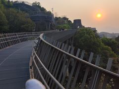 -福道