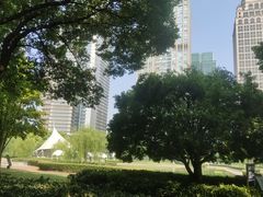 -陆家嘴中心绿地