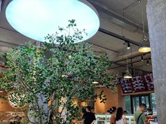 -喜马拉雅森(运河汇1958店)