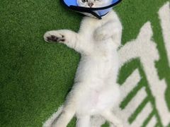 -AK健身普拉提拉伸私教馆(中八店)