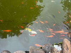 -海南文笔峰盘古文化旅游区