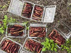 -万年昌传统榨粉店(蒲庙总店)