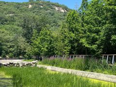 -白水寺森林公园