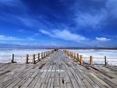 -青海茶卡盐湖文化旅游发展股份有限公司