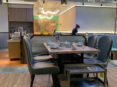 -探窝·竹笙椰子鸡(杨箕店)