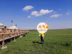 -希拉穆仁草原
