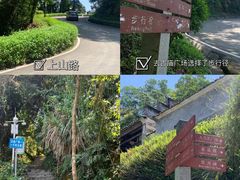 -广州市帽峰山景区