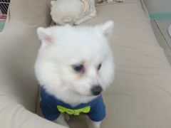 -怪兽屋·羊驼·猫咖·狗咖(俊华广场店)