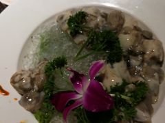 -蜀九香火锅(营口店)