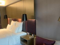 -南京禄口机场雅高铂尔曼大酒店