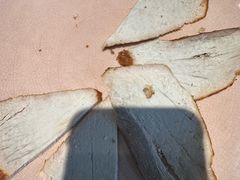 -盛京辽菜小馆(龙之梦购物中心店)