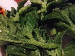 -胡桃里乐队酒馆(鎏嘉码头店)