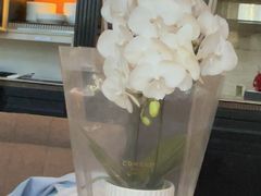 -北京康莱德酒店