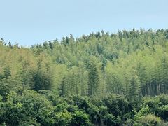 -西山风景区