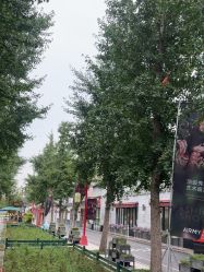 -爱儿美儿童摄影亲子馆(五路居店)