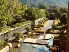 -逸廊大堂吧-下午茶·简餐-千岛湖自由洲际殿