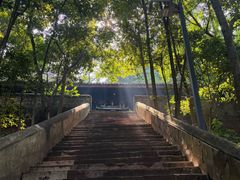 -成都老君山