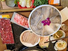 -重庆川渝肥妹火锅