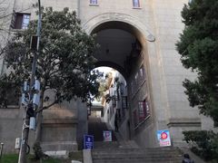 -武汉大学-樱园