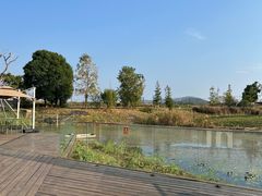 -田园东方蜜桃村的田野营地