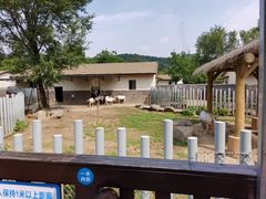 -上方山森林动物世界