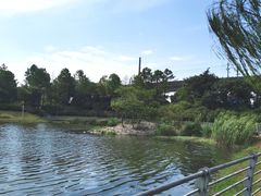 -美兰湖景区
