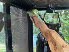 -南宫五洲植物乐园