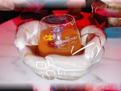 -Darling Queen·Mini·Live·House