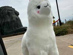 -南戴河国际娱乐中心