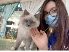 -喵喵咪呀布偶猫咖(春熙路店)