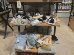 -TheGreenParty(槐房万达店)