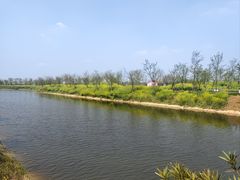 -武汉紫薇都市田园