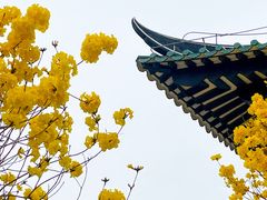 -光孝寺