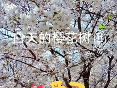-新江湾城公园