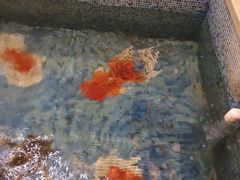 -东方之珠洗浴休闲广场(大港店)