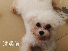 -创凡宠物医院·骨专科  猫科中心(西乡分院)
