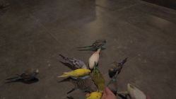 -酷嗒动物文化乐园(cutezoo西溪乐天城店)