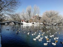 景点-宗角禄康公园