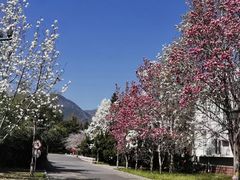 -国家植物园南园