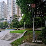 【打卡】｜海棠溪筒子楼