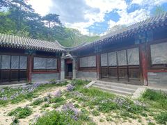 -阳台山自然风景区