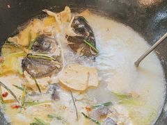 -小团圆灶台鱼·百城头牌菜(千岛湖店)