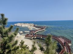 -养马岛旅游度假区