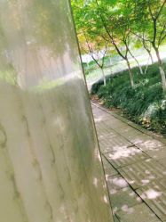 -杭州天目山妇产医院