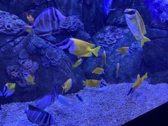 -成都浩海立方海洋公园
