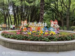 -上海共青森林公园