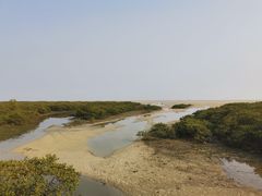 -北海金海湾红树林生态旅游区
