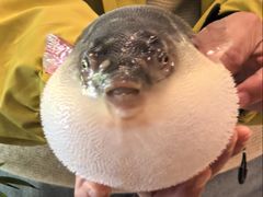 -永安鱼庄·镇江菜(东吴路店)