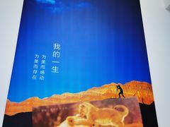 -罗红摄影艺术馆