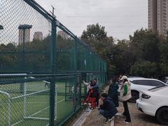 -青岛市体育产业发展中心全民健身中心